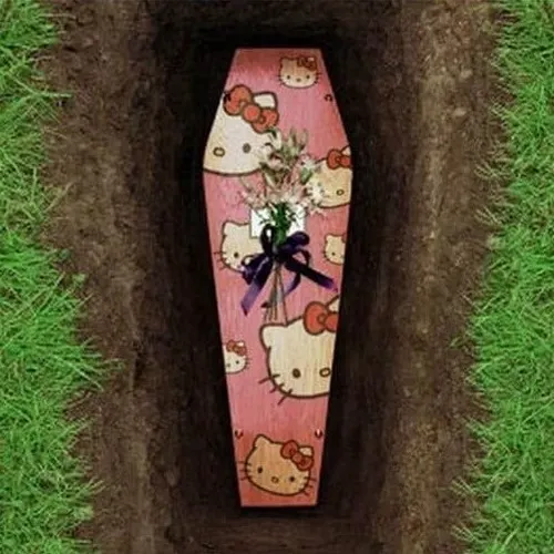 Ảnh chế quan tài phủ hoa, nhìn vừa rợn vừa đẹp