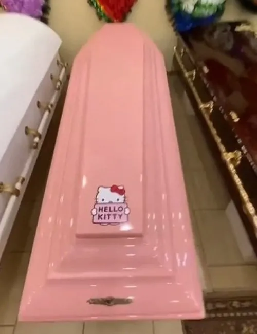 Meme hài quan tài bị mèo nằm ngủ lên trên