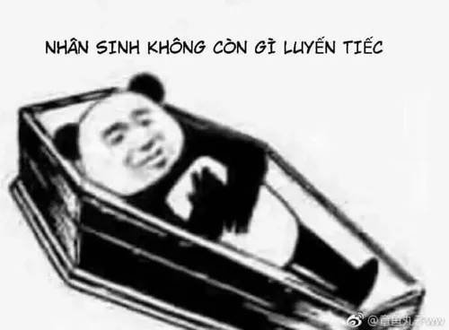 Ảnh chế quan tài làm bằng giấy carton “phiên bản tiết kiệm”