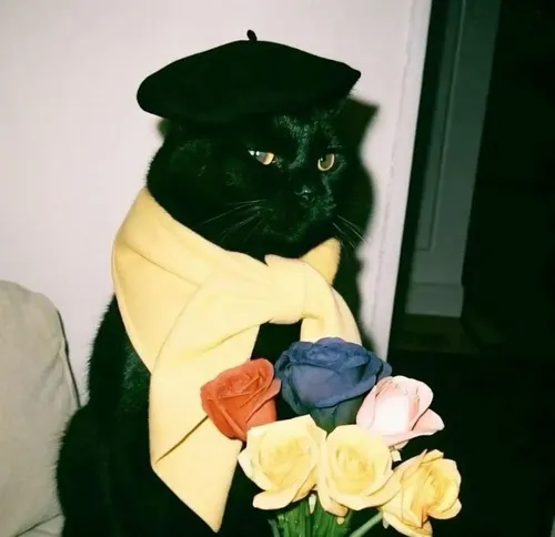 Meme chế quý ông dùng caption hài hước kiểu quý tộc