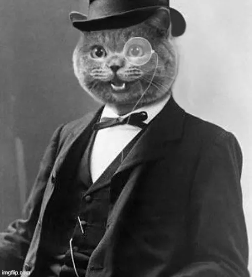 Meme người đàn ông trưởng thành khiến ai xem cũng mê