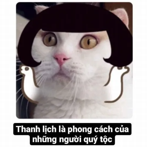 Hình chế quý tộc biến bữa mì tôm thành bữa tiệc hoàng gia