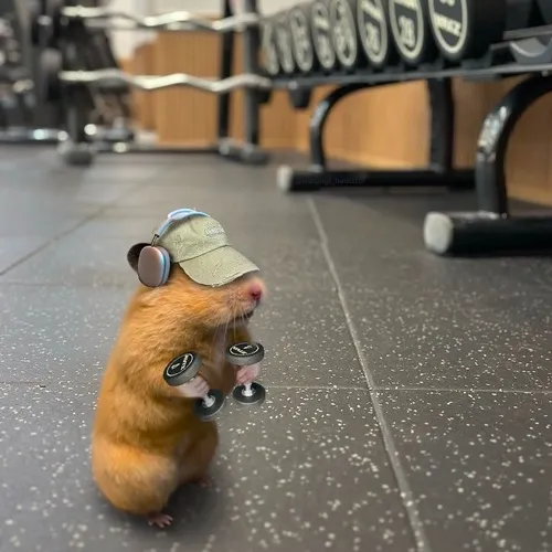 Hình chế vui biểu cảm mạnh mẽ trong mùa deadline.