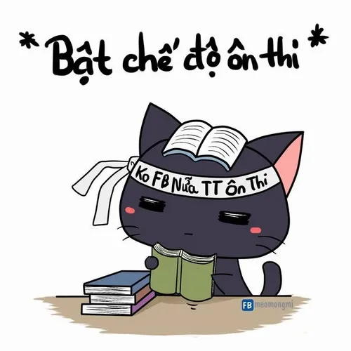 Ảnh troll deadline thể hiện quyết tâm không ngừng.