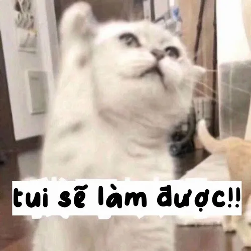 Hình chế ý chí mạnh mẽ giữa cơn buồn ngủ.