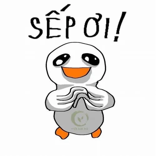 Meme chế lời thoại “ok em làm lại đi nhé”