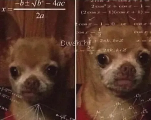 Ảnh meme chó con suy ngẫm toàn công thức toán học