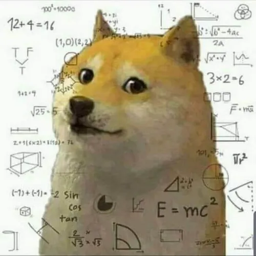 Ảnh meme Shiba Inu suy nghĩ toán học