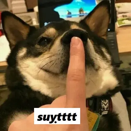 Gặp chuyện rối? Thả ngay meme suỵt là xong Gặp chuyện rối? Thả ngay meme suỵt là xong