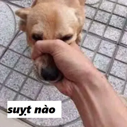 Meme suỵt: biểu tượng im lặng kiểu GenZ Meme suỵt: biểu tượng im lặng kiểu GenZ