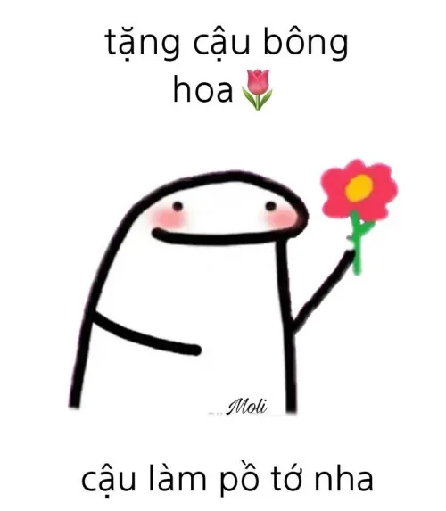 Meme hài tặng hoa kiểu siêu cute