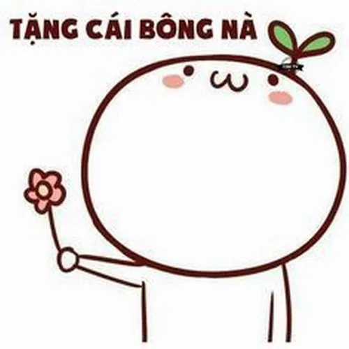 Ảnh chế biếu hoa biểu cảm e ấp