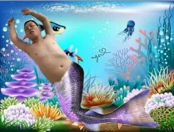 Hình chế Thầy Ba cười bất lực vì đồng đội feed