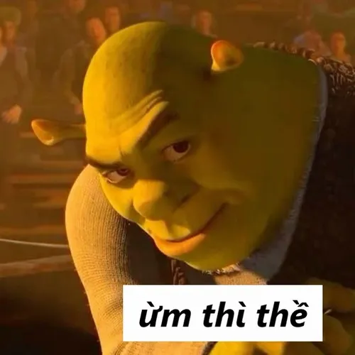 Ảnh hài thề danh dự mà mặt tỉnh bơ