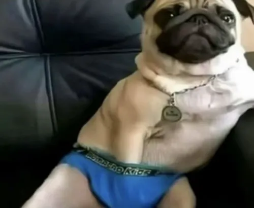 25 Meme biểu cảm thèm thuồng cực đại, nhìn là hiểu ngay.
