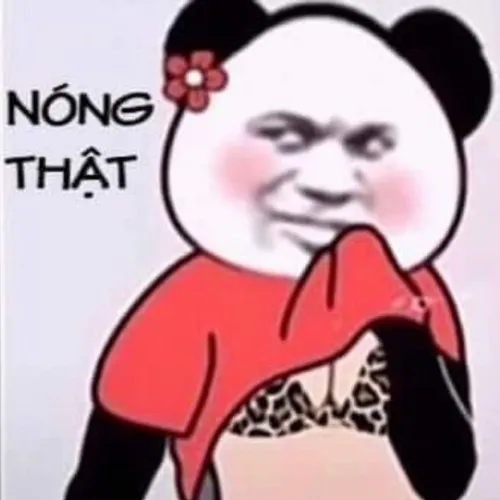 Meme gấu trúc mặc đồ khiêu gợi nóng bỏng