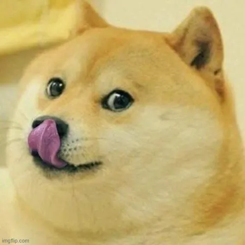 Hình chế chó Shiba lè lưỡi mlem cực nhây