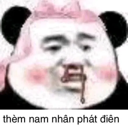 Meme gấu trúc thèm nam nhân phát điên