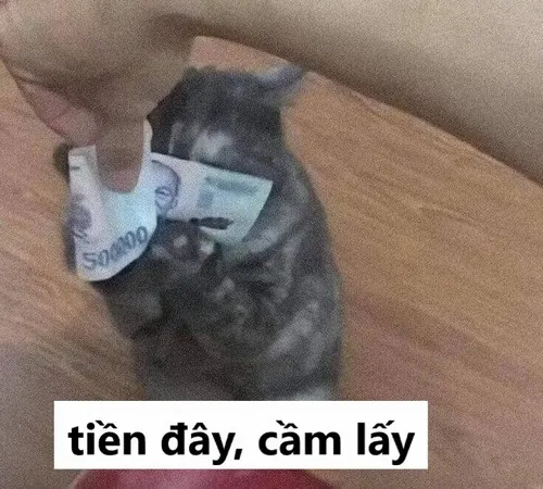 Hình chế vui đưa tiền kiểu bất cần đời