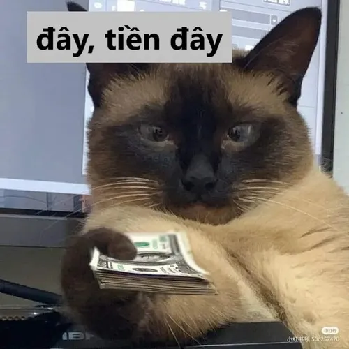 Meme hài “nói nhiều quá, đây tiền nè”