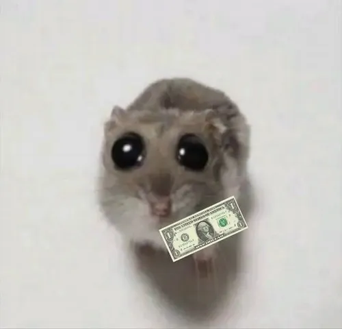 Ảnh vui khi bố mẹ phát tiền đầu tháng