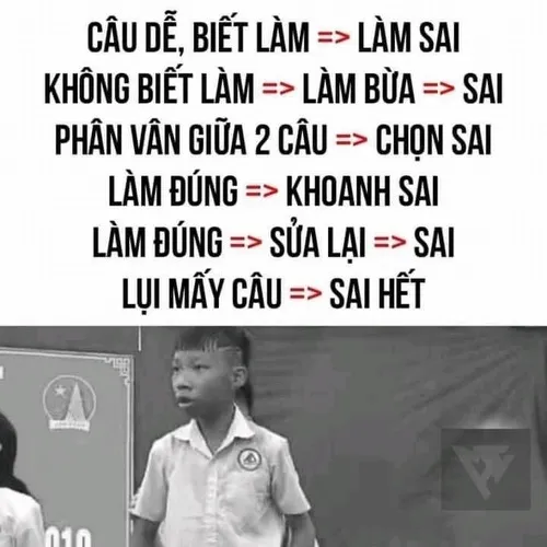 Meme chế toán học sinh tán loạn tìm nghiệm