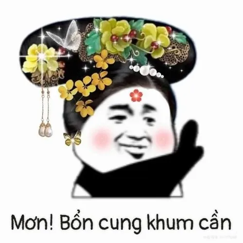 BST 70 Meme Từ Chối hài chuẩn nghệ thuật nói không từ lịch sự đến cứng như búa tạ