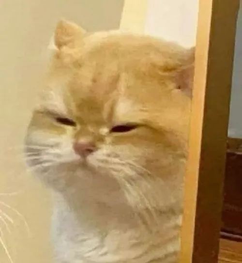 Ảnh troll chạnh lòng khi người yêu seen không rep