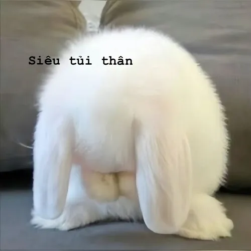 Hình chế vui tủi thân khi nhóm chat bỏ quên bạn