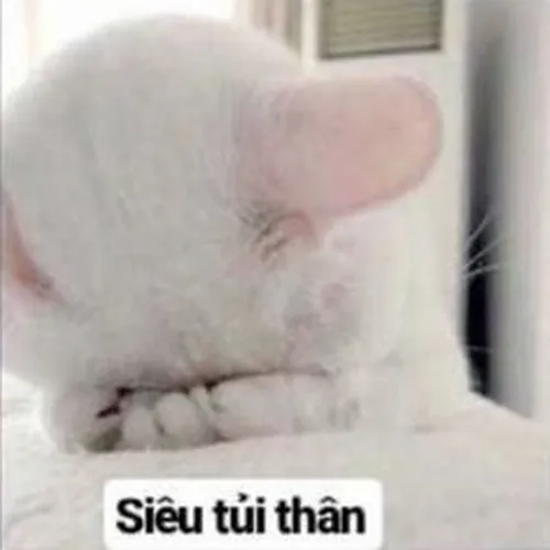 Ảnh chế gương mặt “buồn mà không nói nên lời”