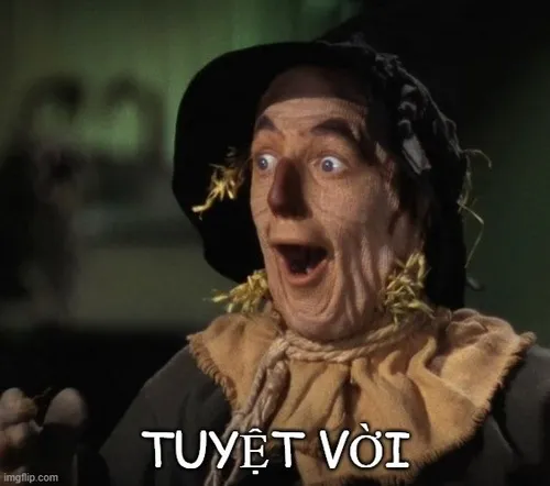 Ảnh troll tuyệt vời, vừa hợp trend vừa có tâm