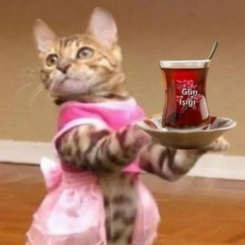 Ảnh chế cái ly trà rung rinh cảm xúc