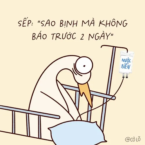 Ảnh troll buổi sáng ai cũng check mail run rẩy