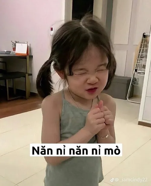 Meme vui cầu khẩn xuất hiện trong các đoạn hội thoại vui