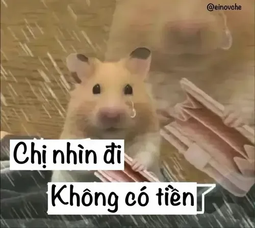 Meme ví trống rỗng, tâm hồn cũng trống trải