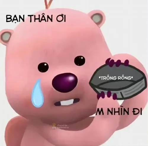 Hình troll ví sạch tiền, ví nhẹ bẫng luôn