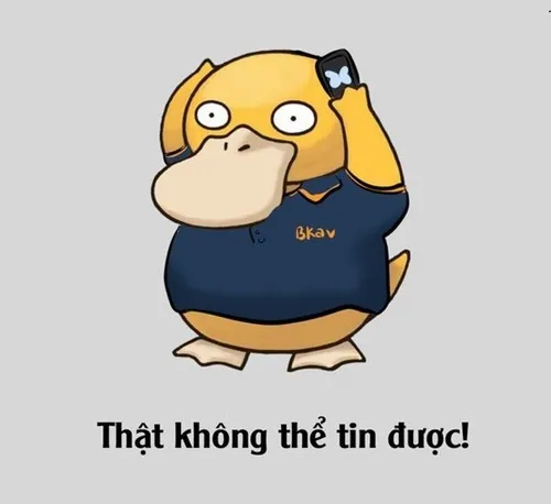 Ảnh vui vịt vàng ngơ ngác giữa cõi mạng.