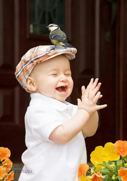 27 Meme em bé vỗ tay, phản ứng “đỉnh của chóp”.