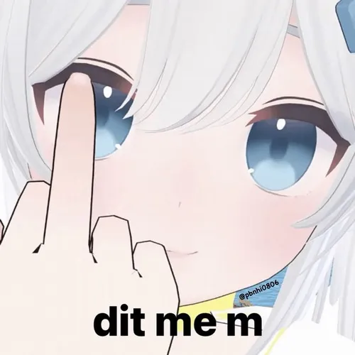 Meme vô tri và biểu tượng của sự “vô tư đến mức buồn cười” trên mạng xã hội