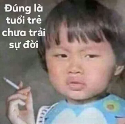 Meme vô tri biểu cảm trơ trẽn cực duyên.