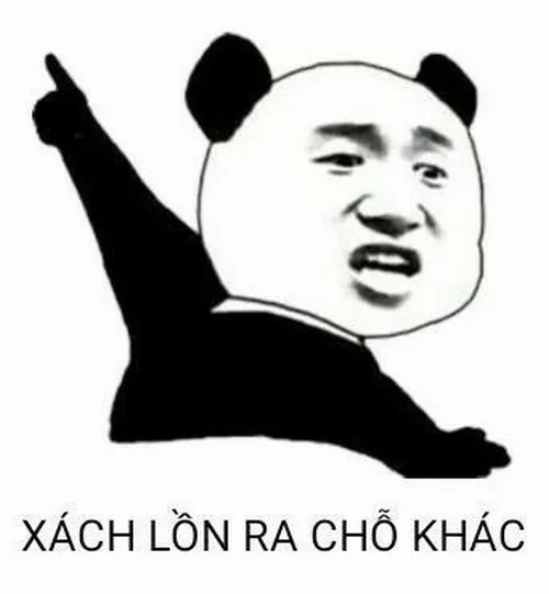 Ảnh troll vẻ mặt ngốc nghếch khiến ai cũng cười.