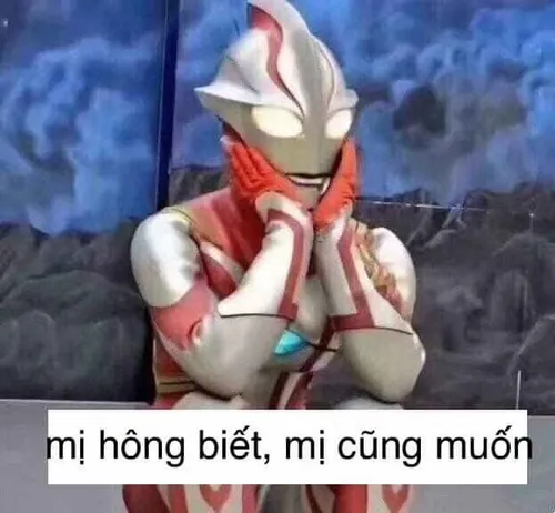 Meme vô tri kiểu mặt ngẩn tò te cực trend.