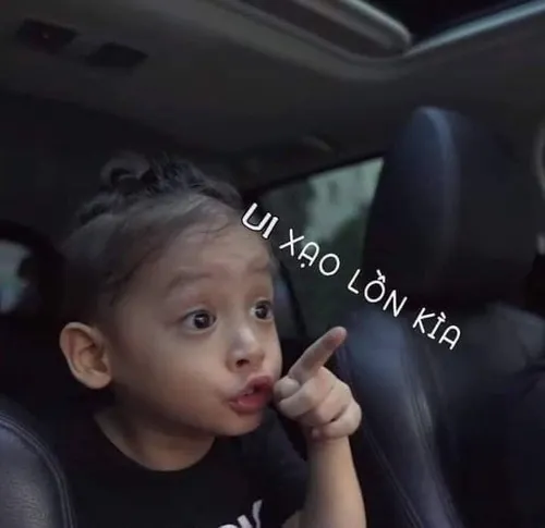 Khi sự thật phũ phàng được kể bằng hình troll.