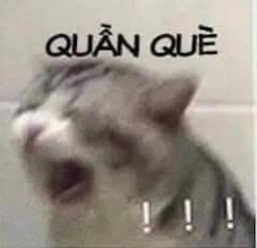 Một cái nhìn, ba tầng nghĩa, năm tầng troll.