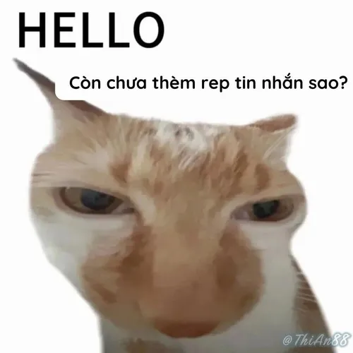 Meme chế hi bạn nhìn xong ấm lòng