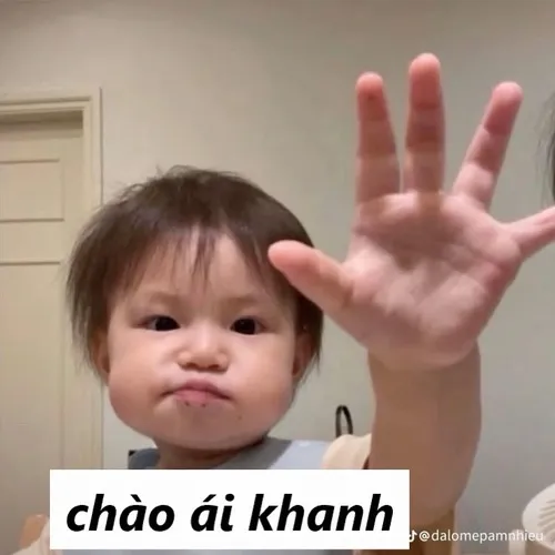 Meme xin chào nhẹ nhàng mà vui ghê