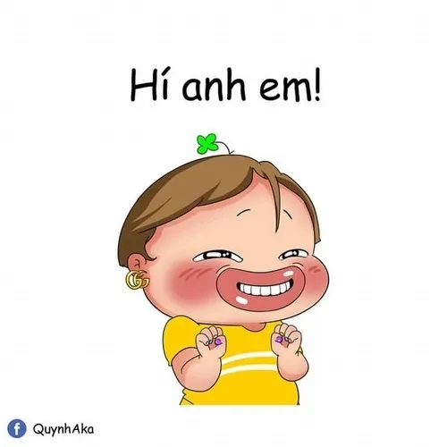 Meme chào buổi sáng cưng như boss mèo