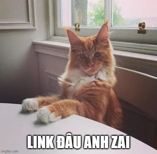 Hình chế thần thái xin clip gấp khó nhịn cười