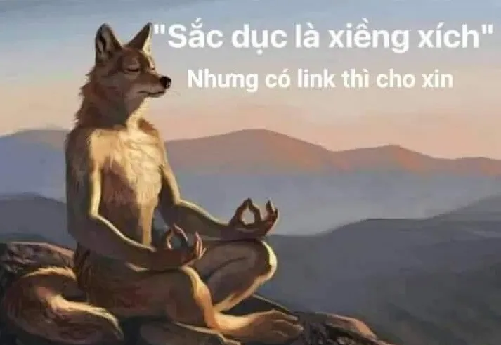 Meme chế biểu cảm link anh ơi siêu hài