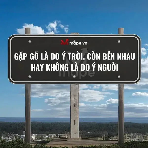 Ảnh troll lẽ đời khắt khe buồn cười